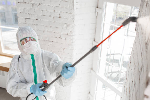 Best Biohazard Mold Removal  in Lynnville, IN
